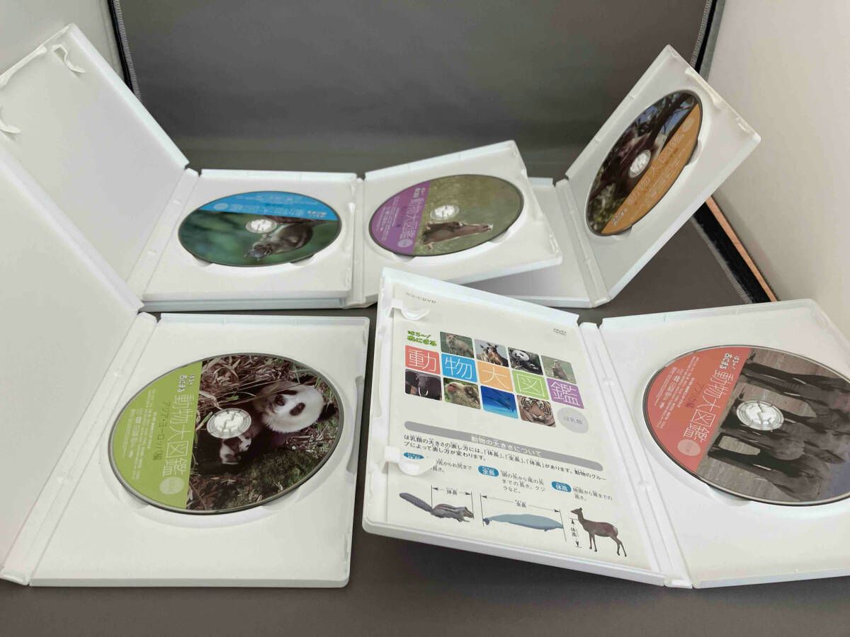 (未使用･未開封品)　はろ~!あにまる 動物大図鑑 DVD-BOX og8985z Amazon.co.jp: はろ~!あにまる 動物大図鑑 DVD-BOX : DVD