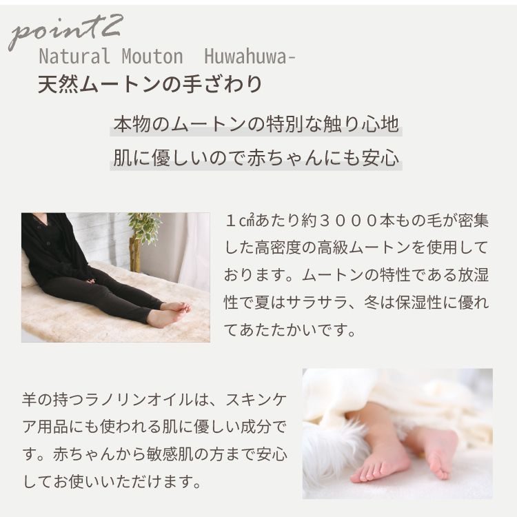 お手入れブラシ