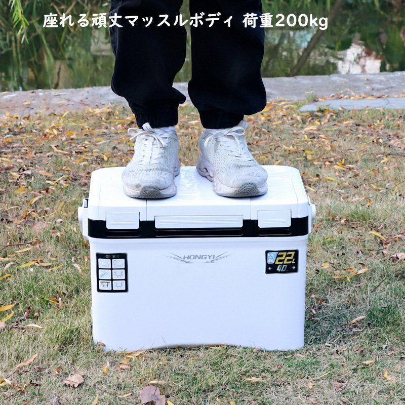 天窓なし 釣り