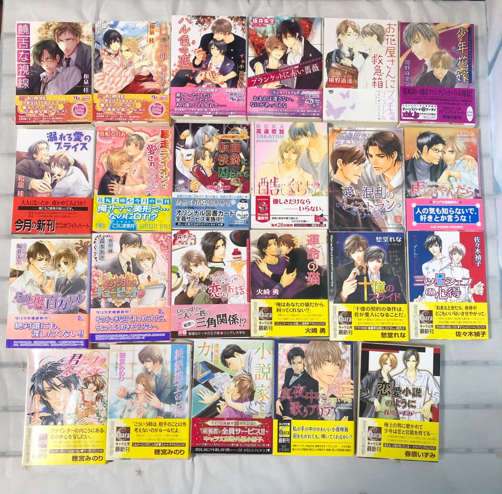 BL小説まとめ売り23冊 火崎勇、椹野道流、愁堂れな他 色々読んでみたい 