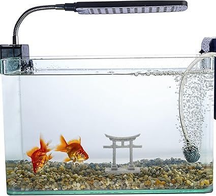 在庫処分】POPETPOP アクアリウム オブジェ ミニ水槽置物 鳥居