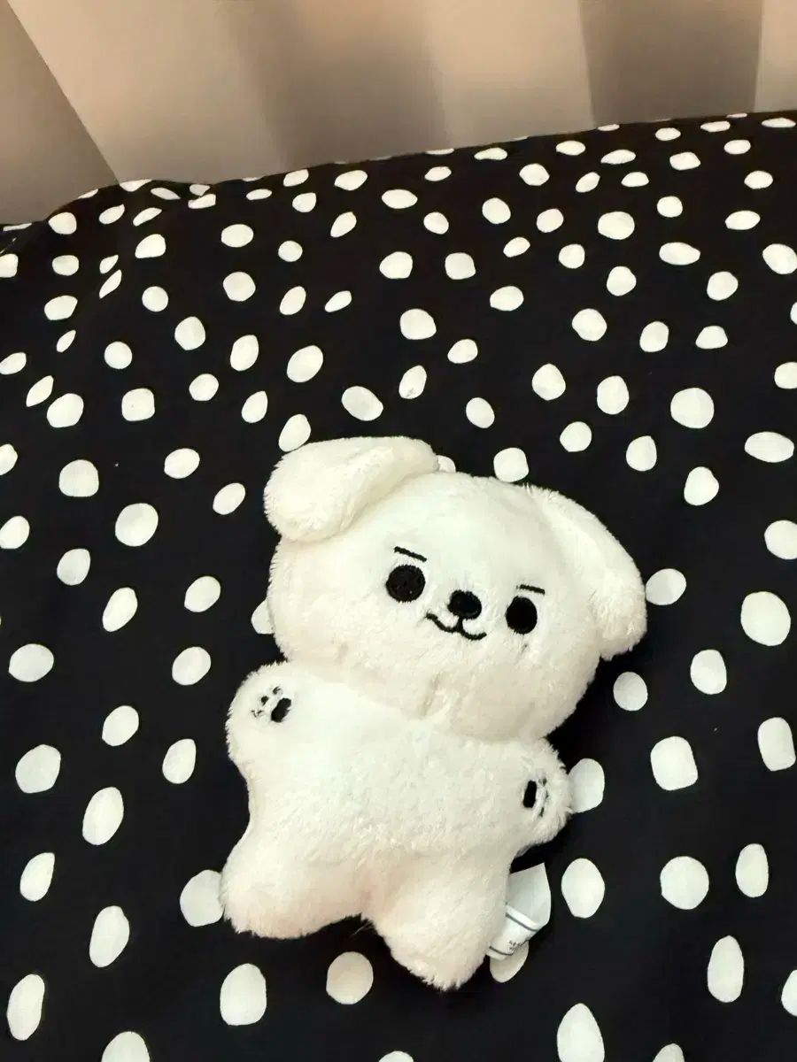 エリック ぬいぐるみ theboyz theboyz ドボイズ エリック ERIC ぬいぐるみ トレカ 日焼け