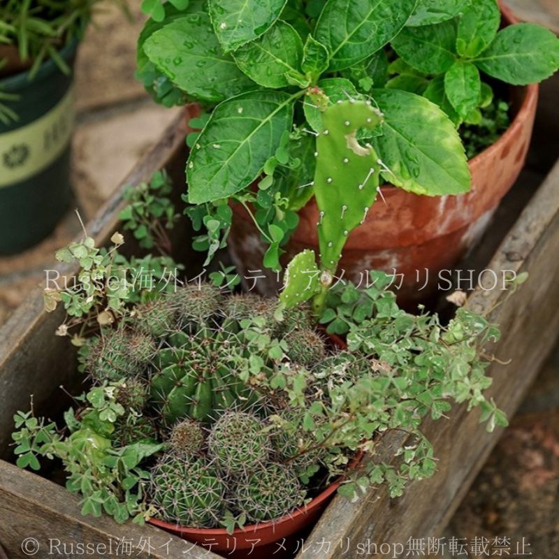 プランターラック 木製 無垢材 アイアンウッドカート 庭 プランターケース 木 植木鉢 鉢植え ガーデニング 雑貨 ガーデン雑貨 ガーデンインテリア ガーデン インテリア 庭の装飾 お洒落 おしゃれ 8-14