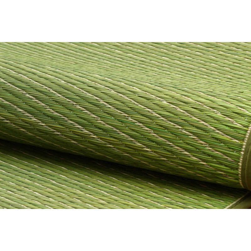 イケヒコ い草ラグカーペット Fソリッド グリーン