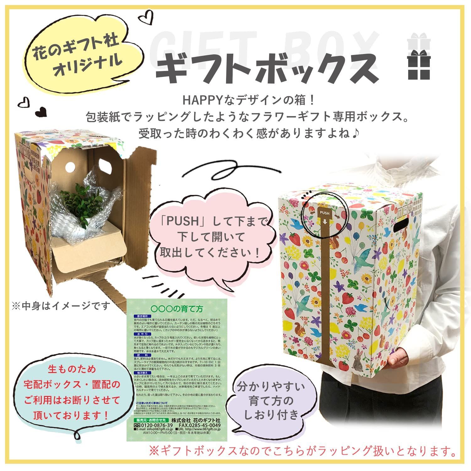 ガジュマル