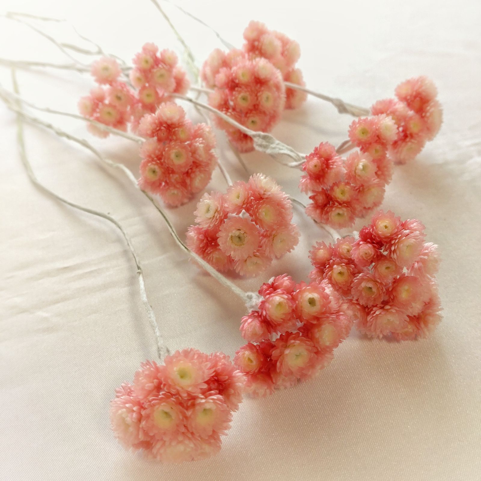 ドライフラワー訳ありルビークラスター