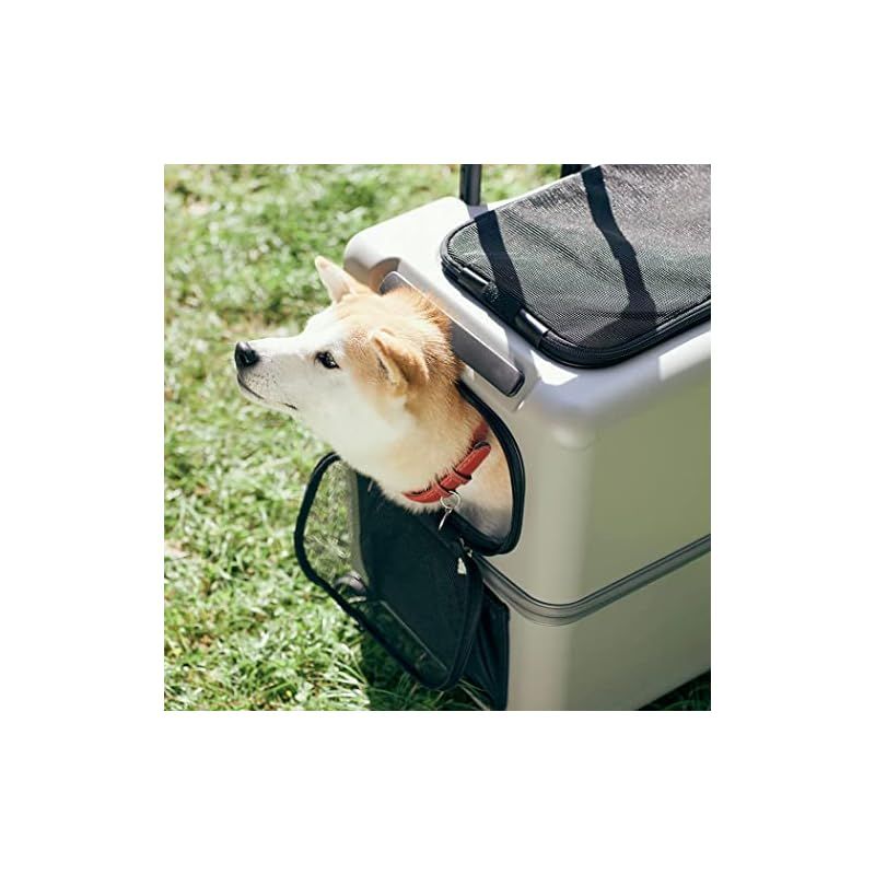 ペットとおでかけ