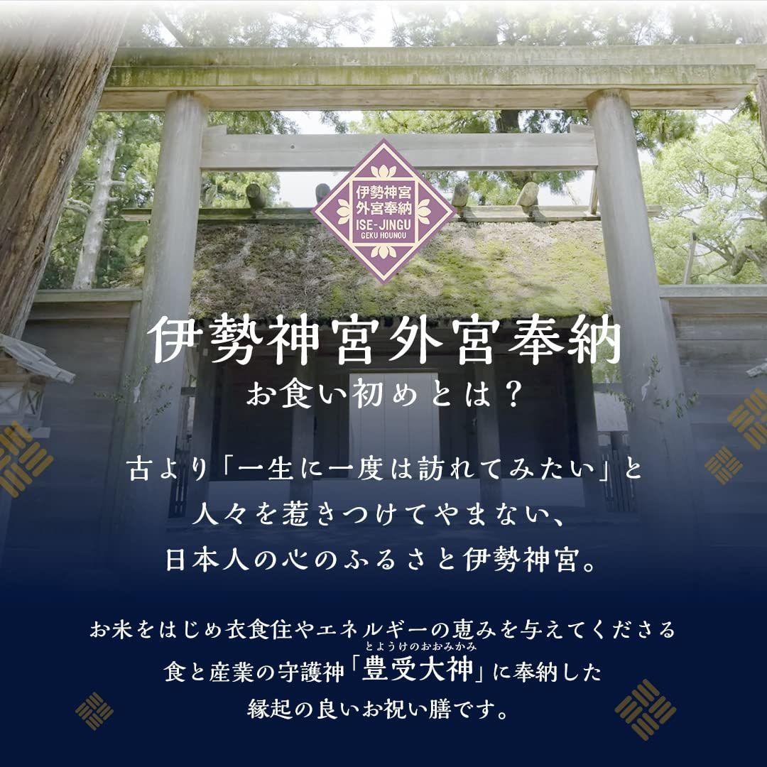 使い切り食器付 6マス赤