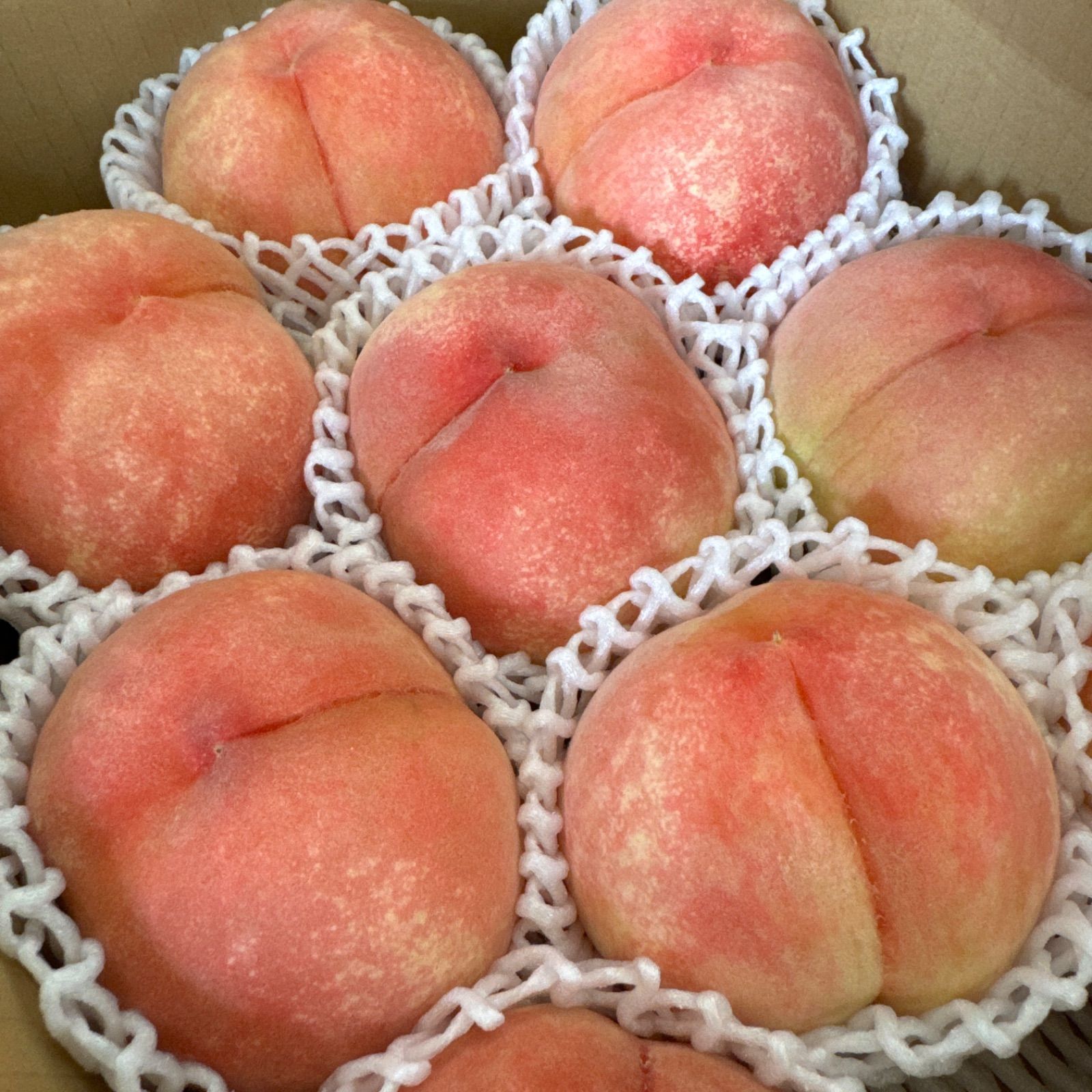 ももちゃん果樹園の桃　品種　あかつき　 約3キロ箱×2 ワケあり 先行予約！！ももちゃん果樹園の桃 品種 あかつき 約3キロ箱