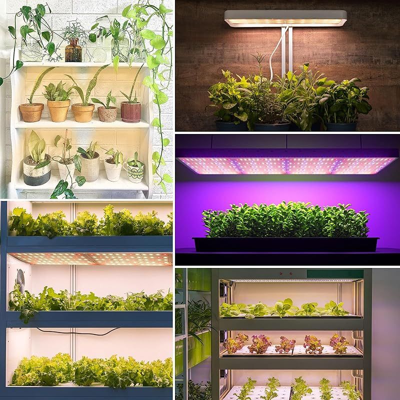 植物育成ライト
