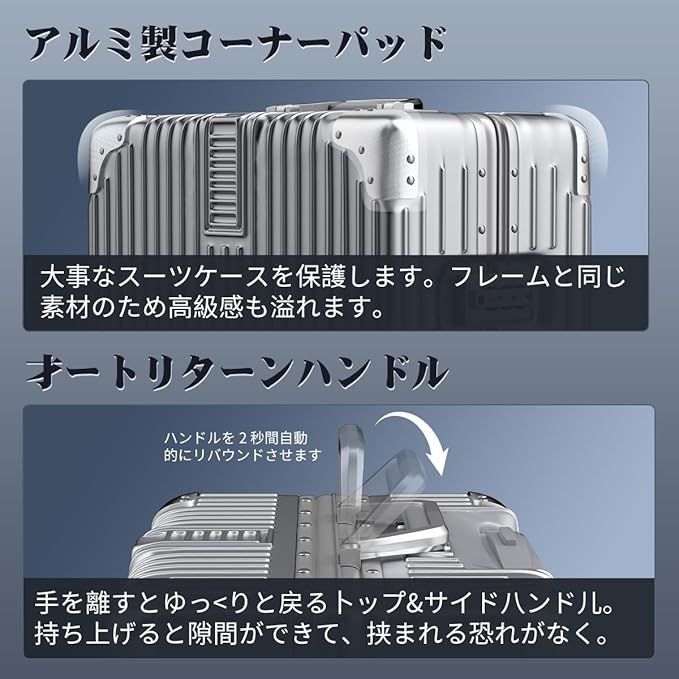 機内持ち込み ⼤型