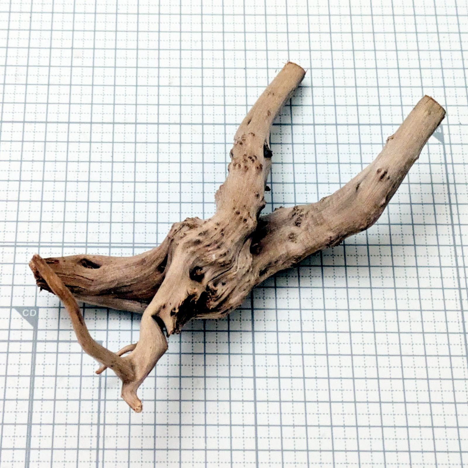 約19x10x8cm ナチュラルブランチウッドS 複数同時購入で2品目