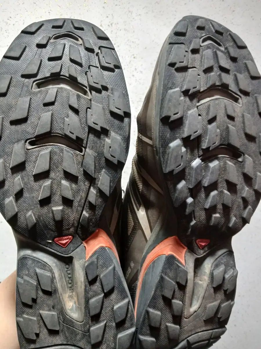 SALOMON サロモン