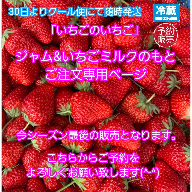 今シーズン最後です ^-^ こちらは いちごのいちご ジャム-いちごミルクのもとご予約 のページとなりますのでよろしくお願い致します ^-^