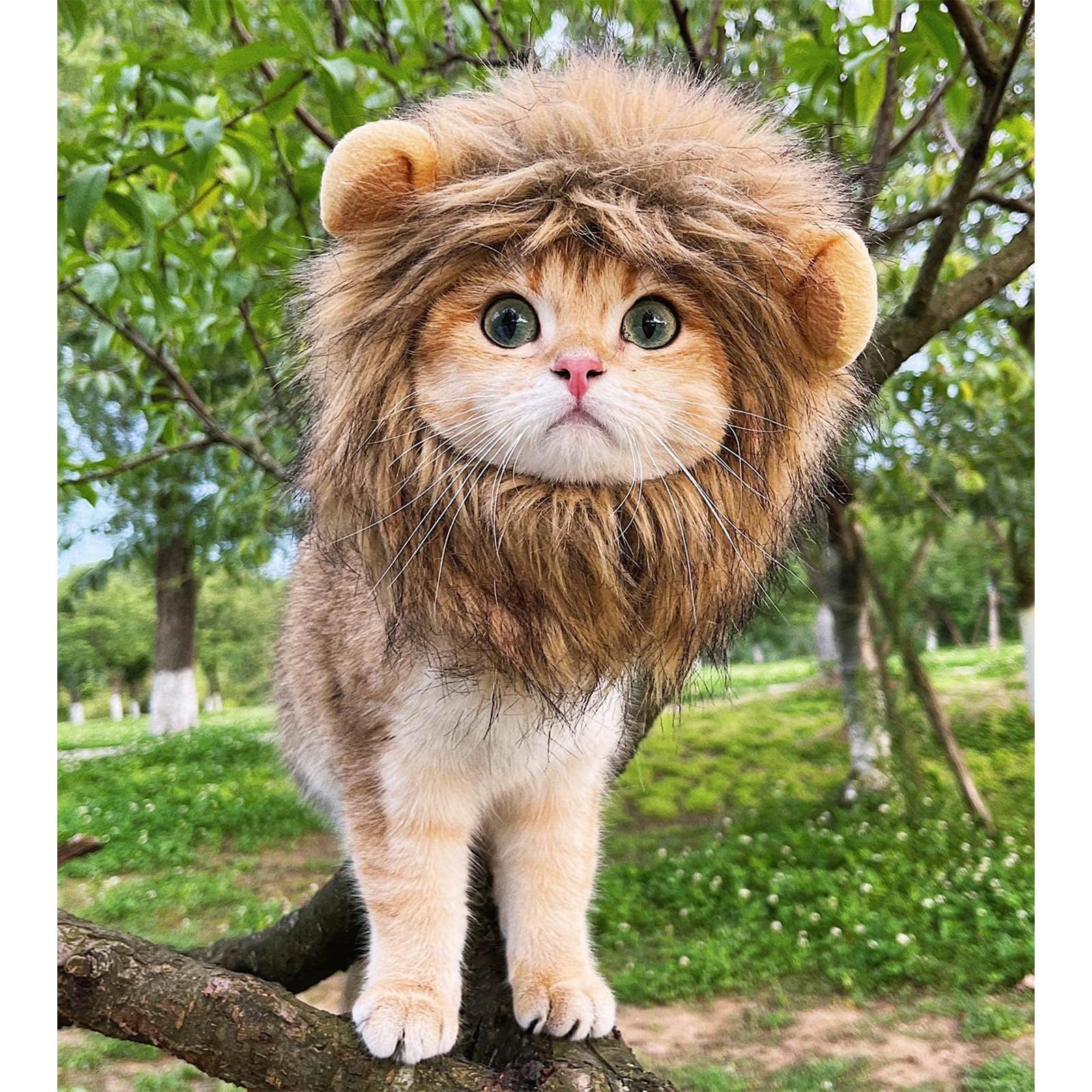アニマル 被り物 キャップ コスプレ さる 犬 くま キリン ライオン ヒョウ アニマル 被り物 キャップ コスプレ さる 犬 くま キリン