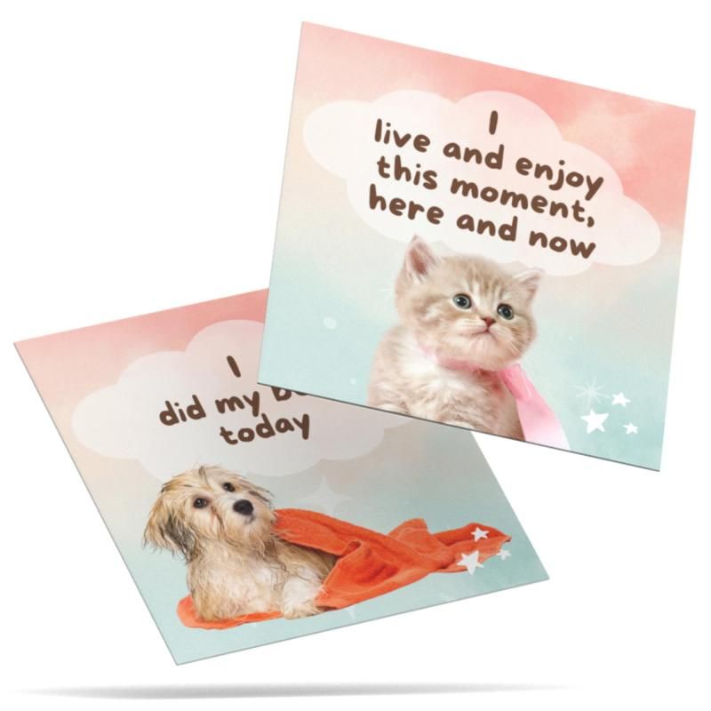 猫 子犬
