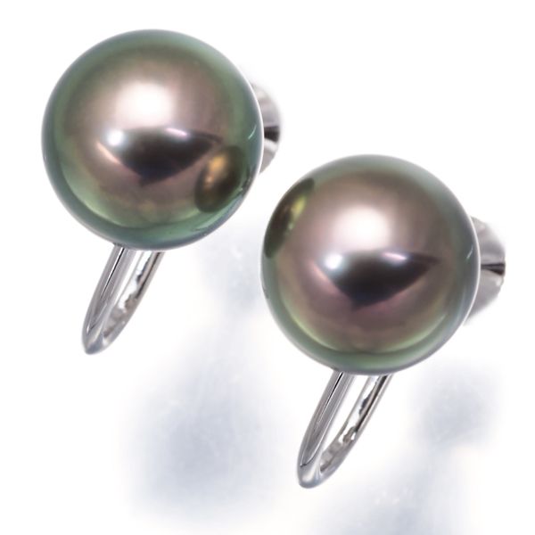 ミキモト イヤリング ブラックパール 真珠 9.5mm 一粒 K18WG 176419