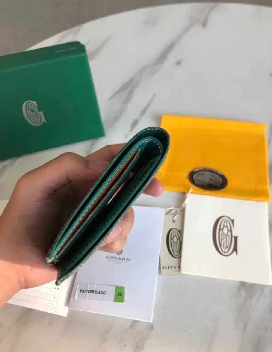スペシャル グリーン/ゴーヤード 付属品完備 Goyard(ゴヤール