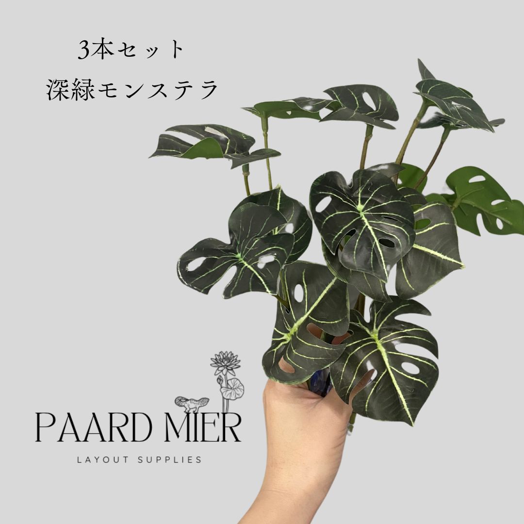 Taorun様 リーフ類