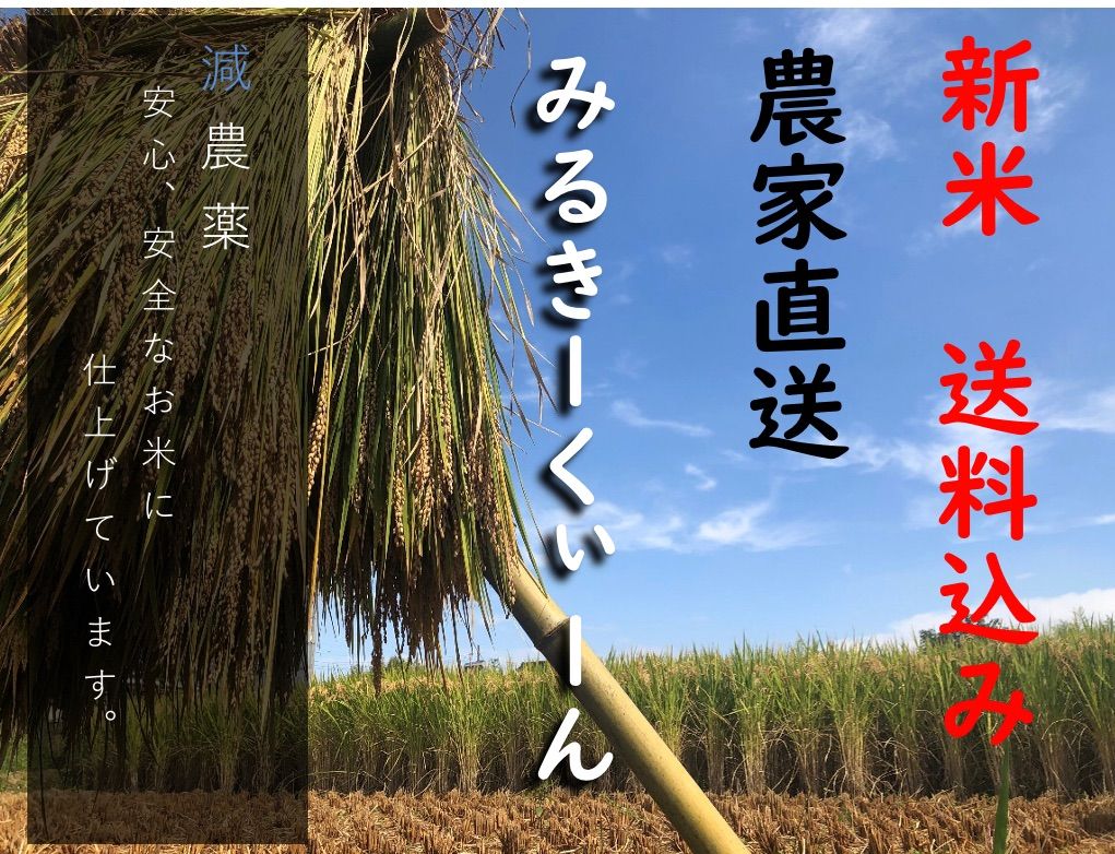 alohana☆様専用 ミルキークイーン 令和4年産 白米 10kg 送料