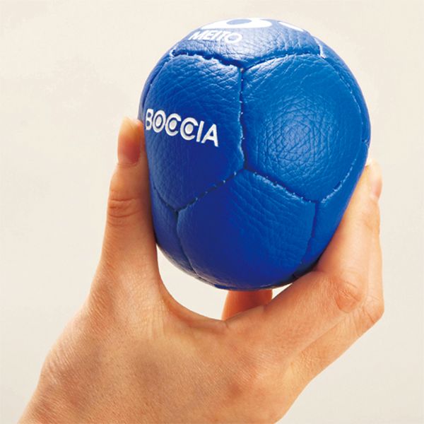 エバニュー Evernew ボッチャボール 学校体育 体育 部活 授業 クラブ