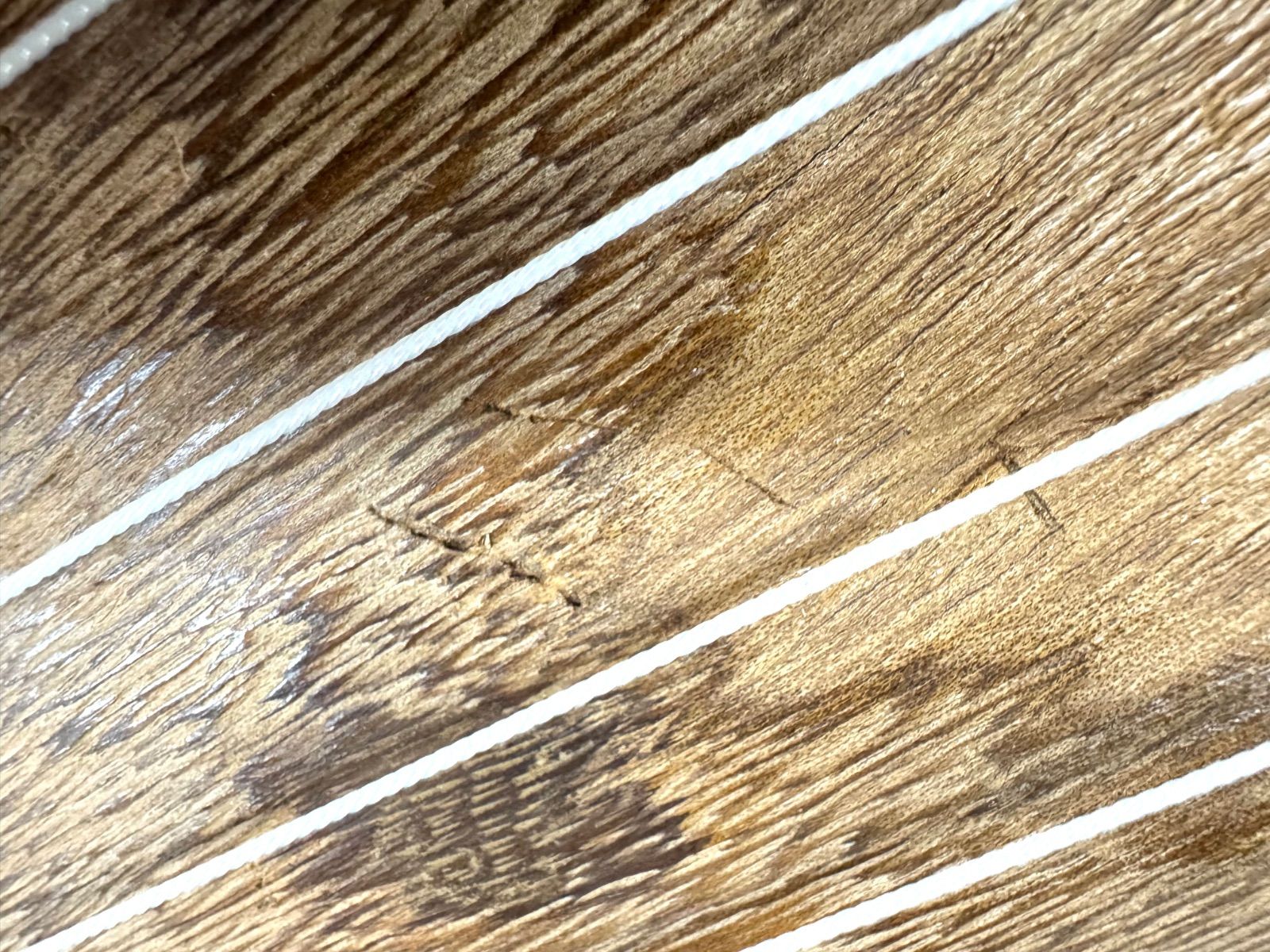 10cm ソフトケースつき