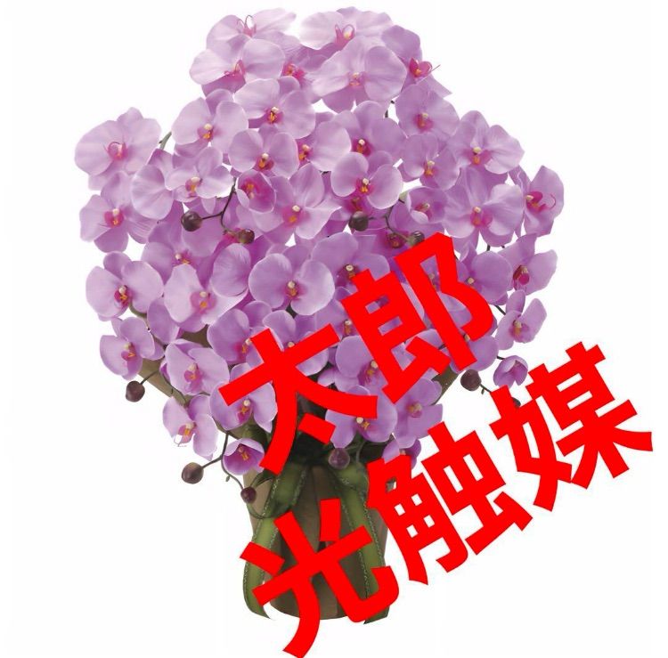 光触媒 人工観葉植物 フェイクグリーン エレガント胡蝶蘭7本立LAV@@