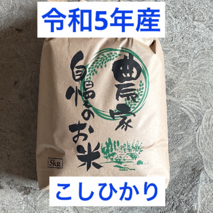 ★送料込み★令和5年産 コシヒカリ 白米 5kg こしひかり