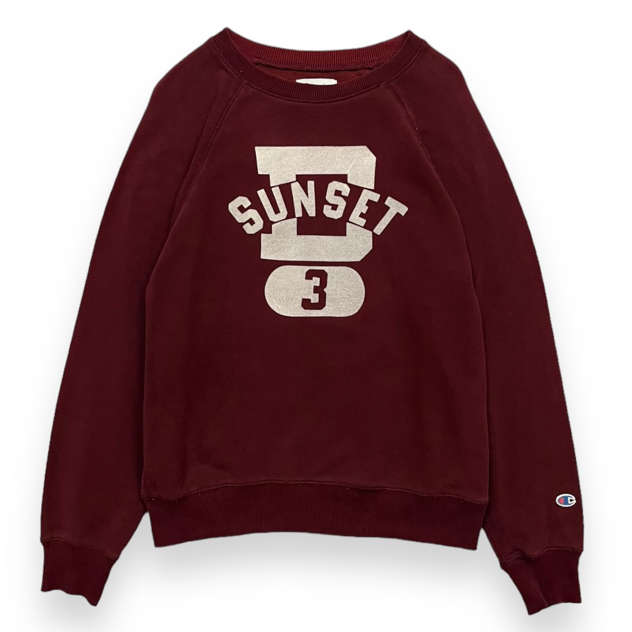 中古品】00s Champion チャンピオン 旧タグ フロッキー プリント 