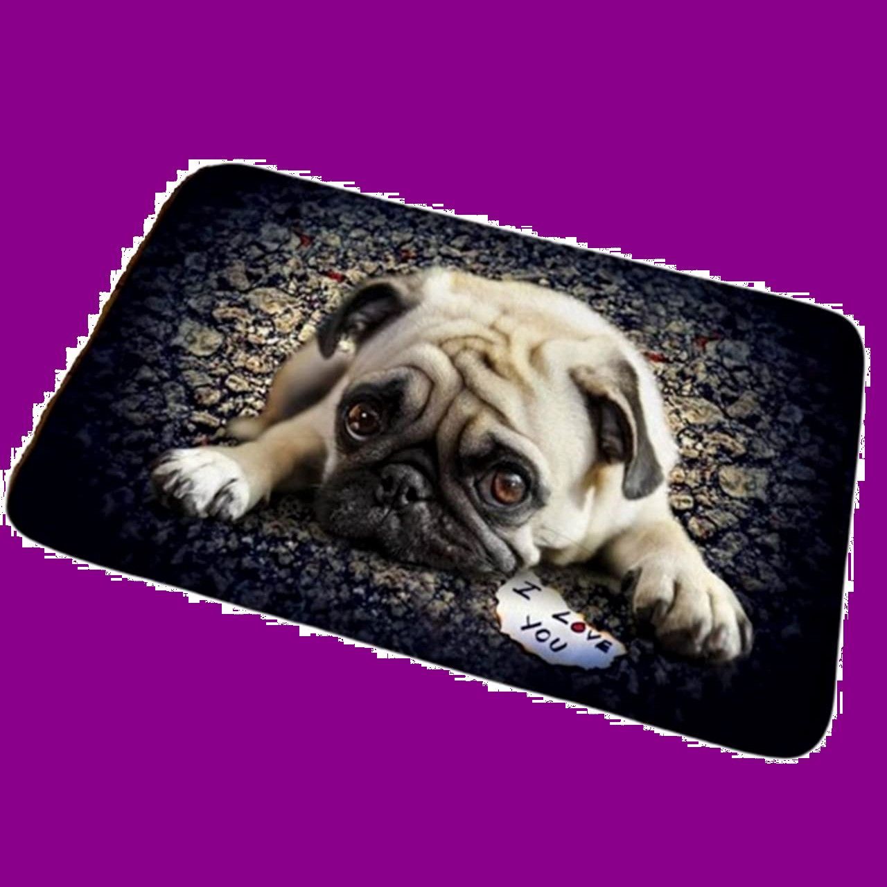 【数量限定】40×60 グッズ パグ 犬 ペット コンパクト 薄い (ナイトウォーク) 軽量 屋内 床 ラグ マット [ザザランド]