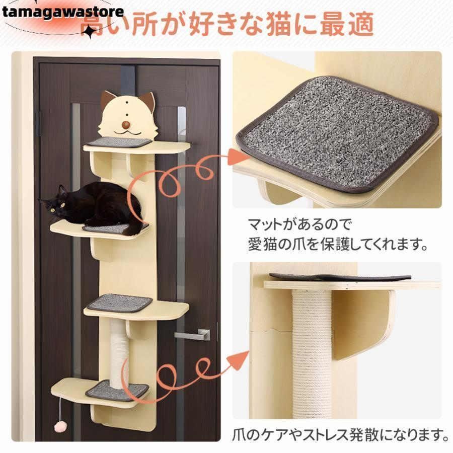 多頭飼い