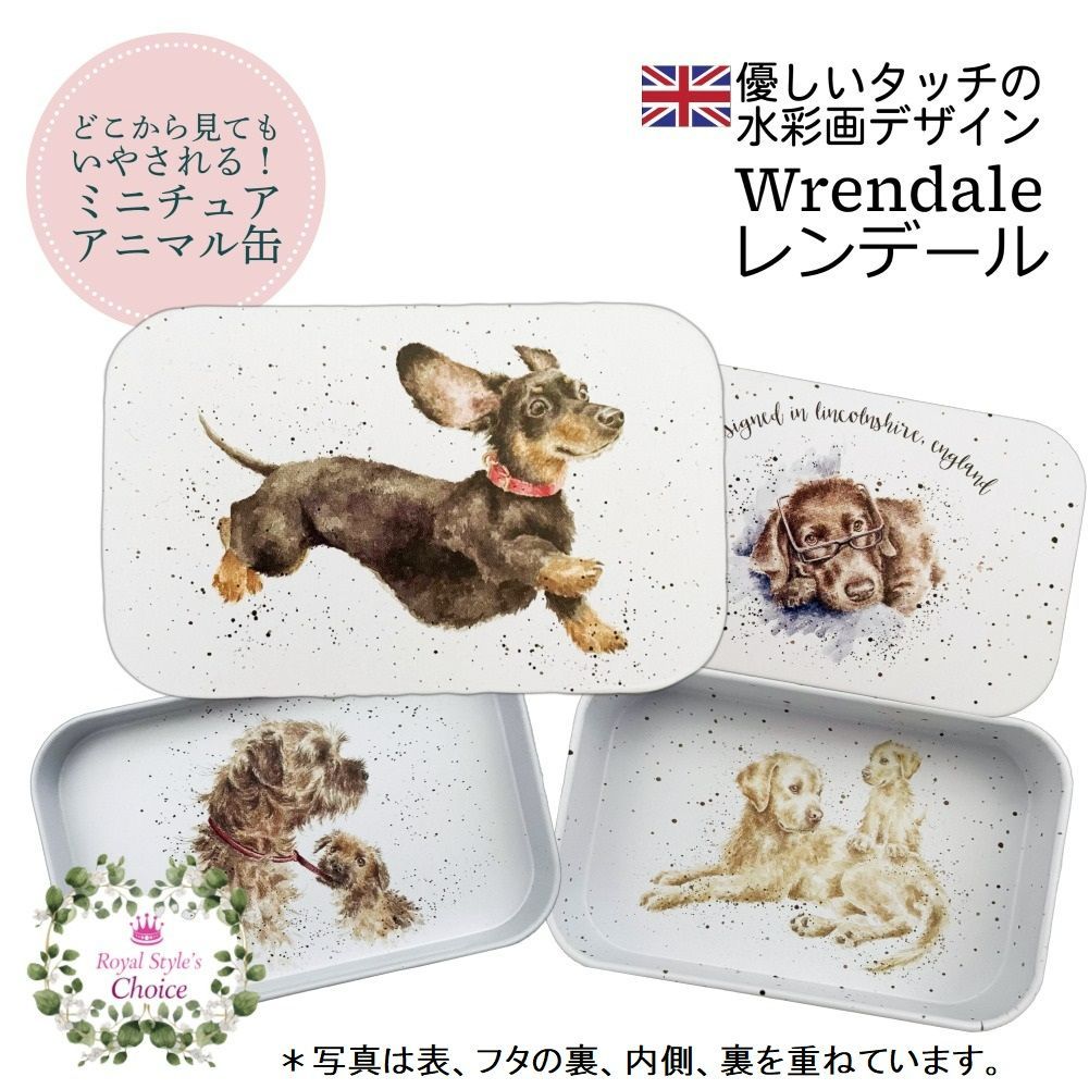 Wrendale レンデール 待ってました！ ワンちゃん 犬 ダックスフンド