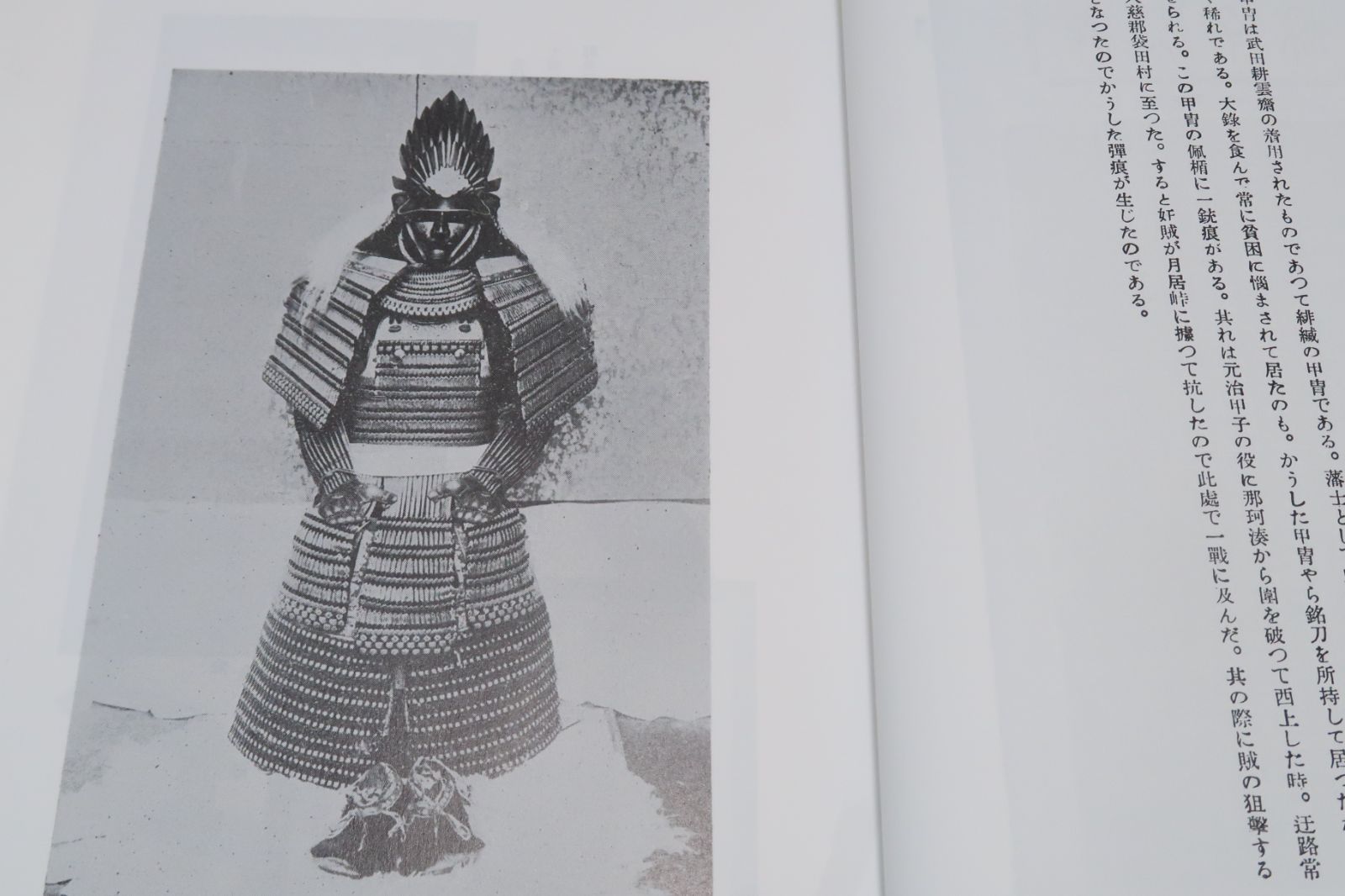 武田耕雲齋詳傳・一名水戸藩幕末史・2冊/限定300部復刻版/常陸水戸藩士 