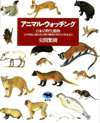 アニマル ウォッチング―日本の野生動物