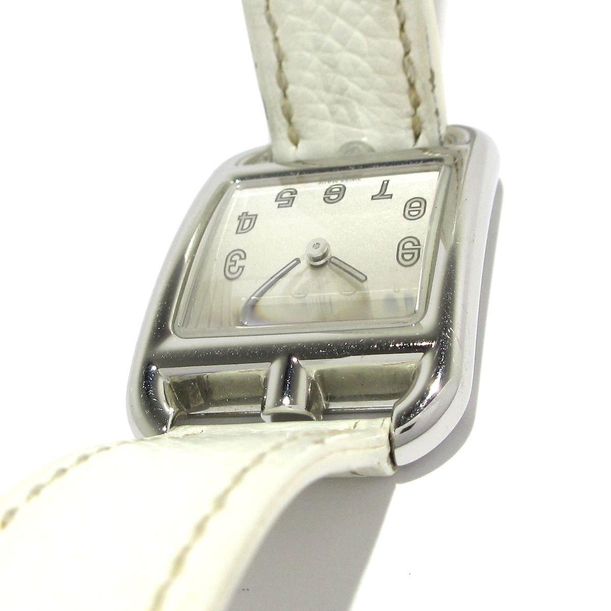 超希少 インドネシア産】スキンダプサス 'セノパティ' 激レア