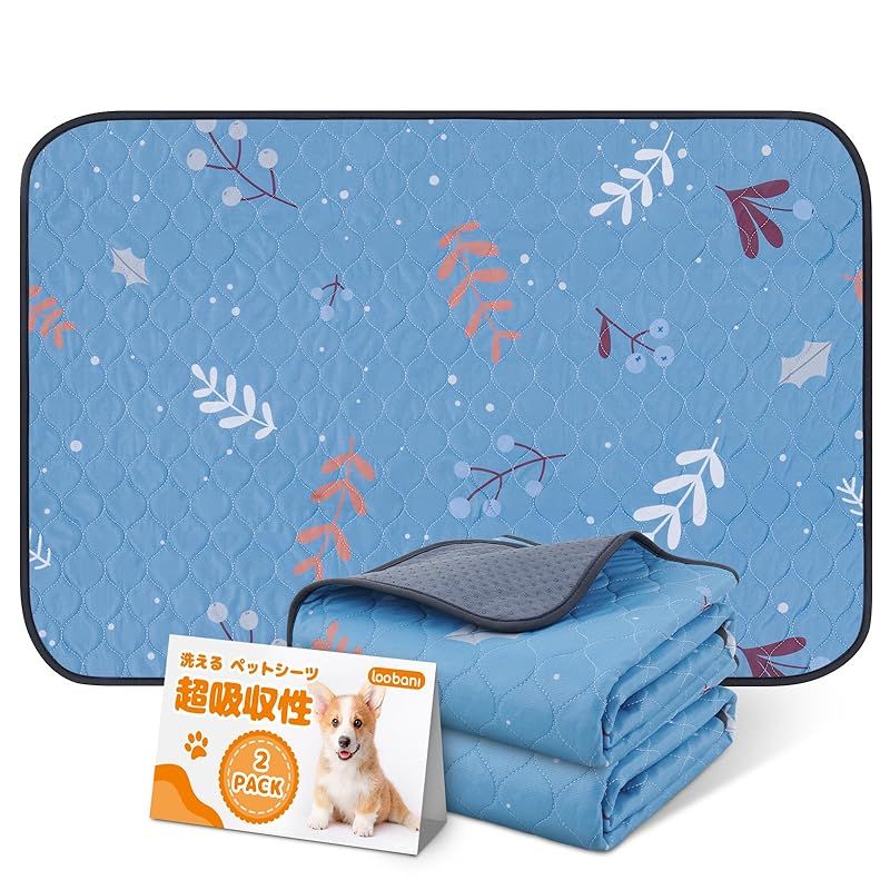 みーちゃんページになります。 SEC ニーナ・シトリー Another＜M＞(シークレット) 販売 | [B43] 渾沌