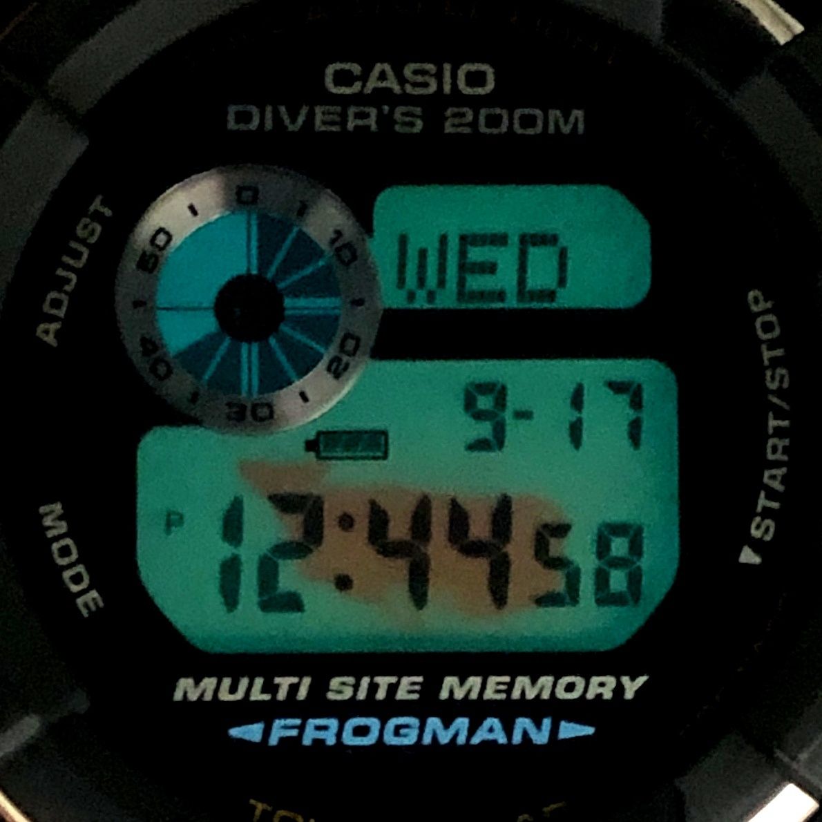 FROGMAN フロッグマン
