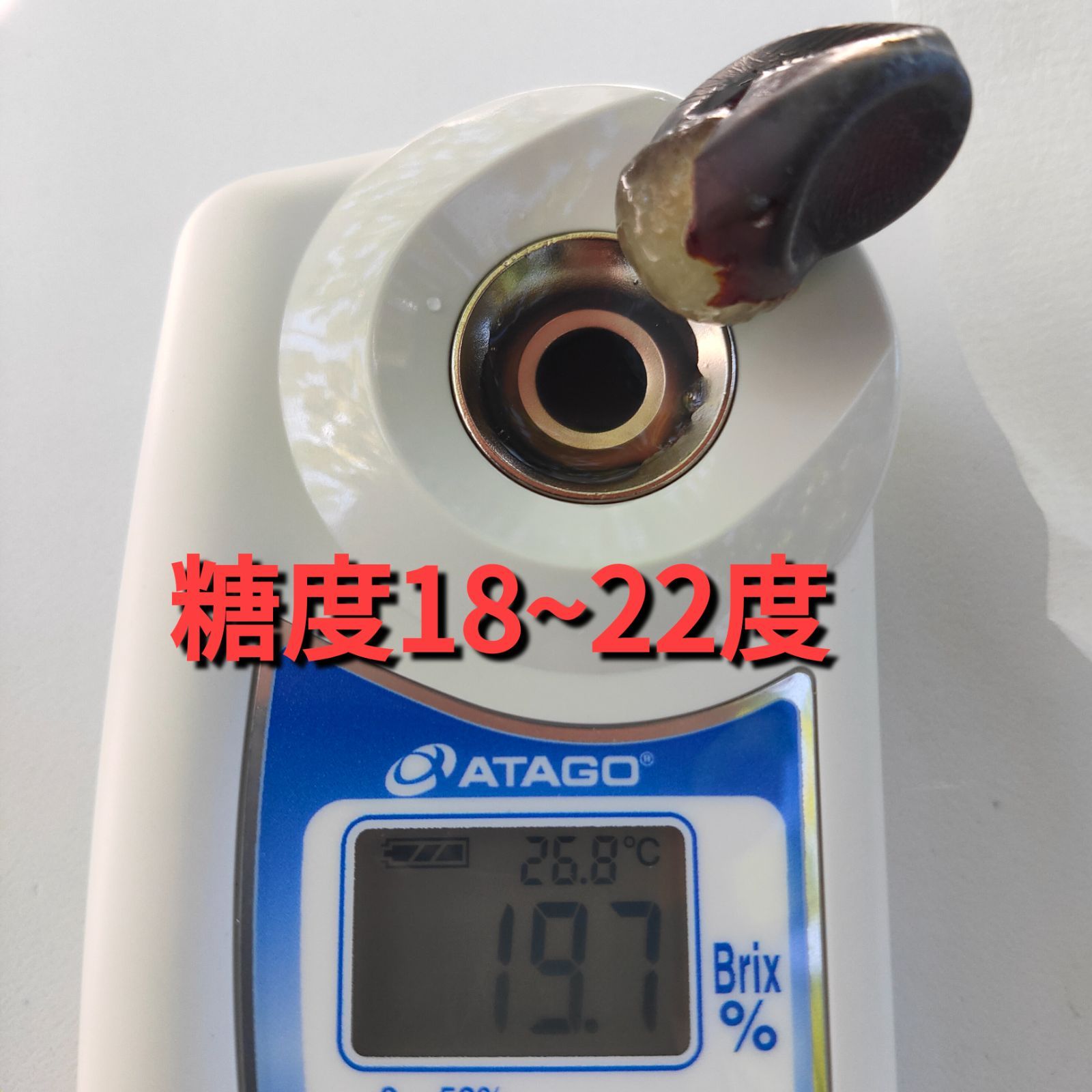 青森県産スチューベン 訳あり粒 約2kg 10/12～16発送 - メルカリ