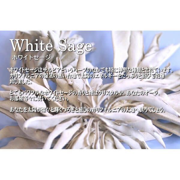 アクアディパルマイリスノービレレザーパースプレー＆詰替え用3本セット3×20ml アクア ディ パルマ / アクア ノービレ イリス オーデトワレの