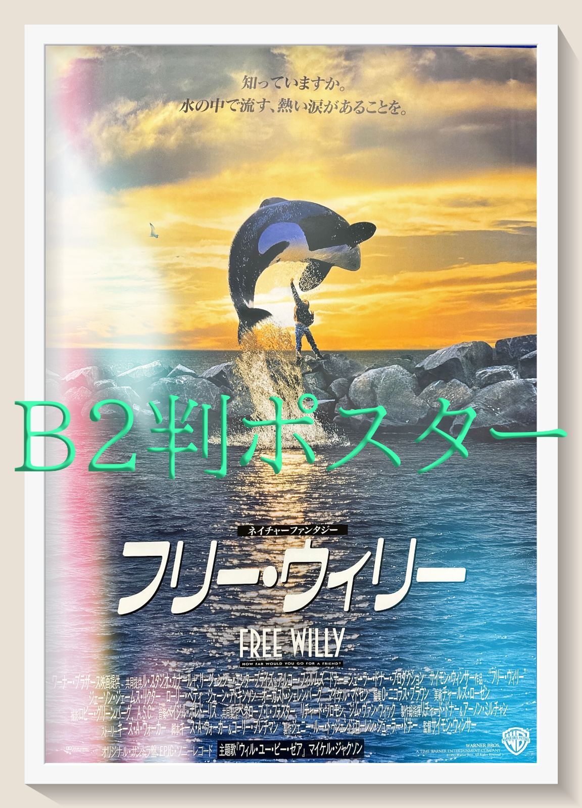 リーピング　USオリジナル映画ポスター Amazon.co.jp: Back to the Future – 映画ポスター/印刷レギュラー