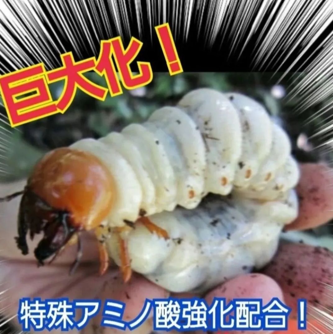 トレハロース ローヤルゼリー
