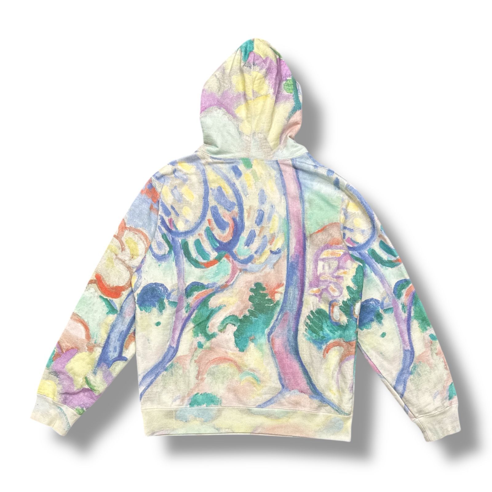 国内正規 Supreme 18SS Landscape Hooded Sweatshirt ランドスケープ 