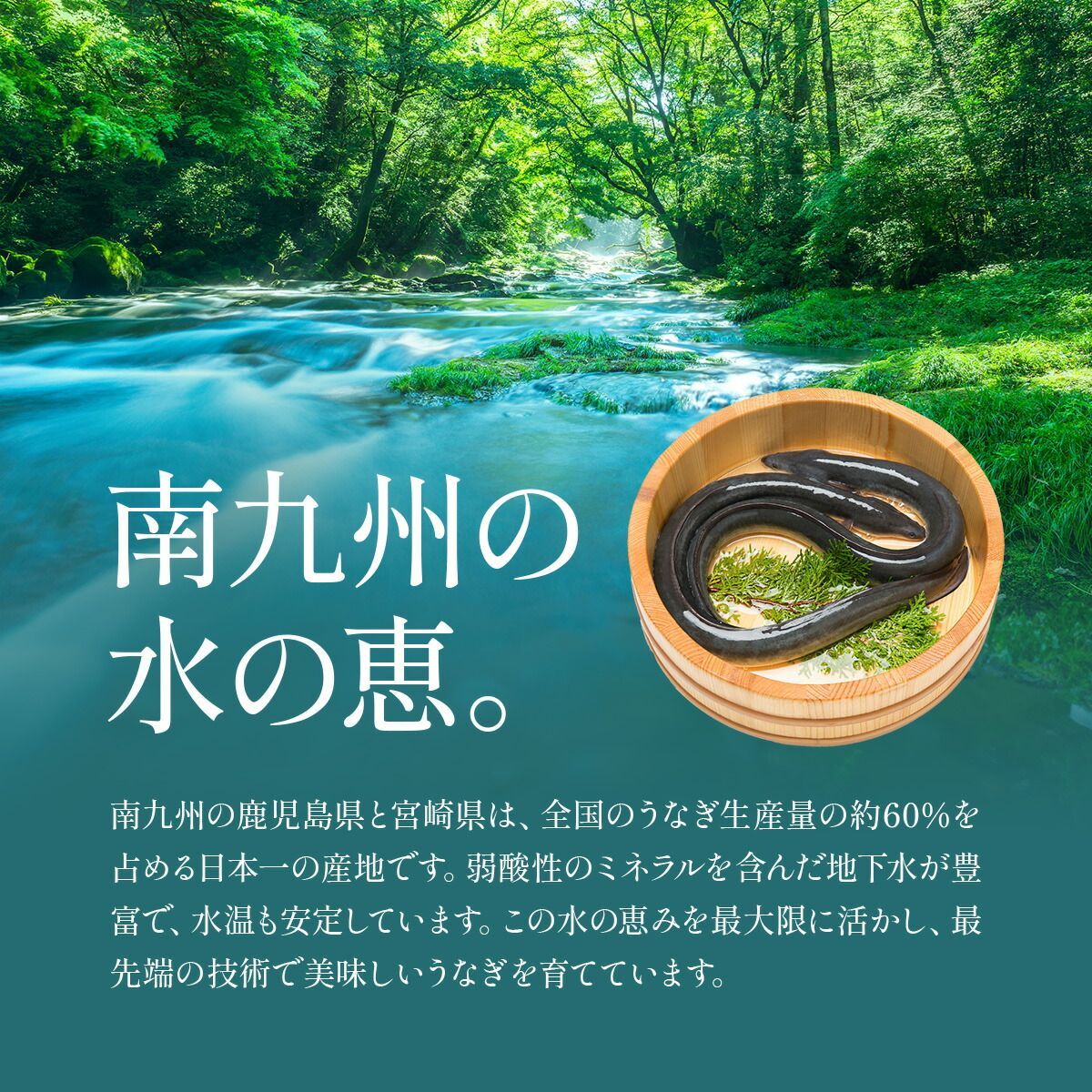 柳川風 上