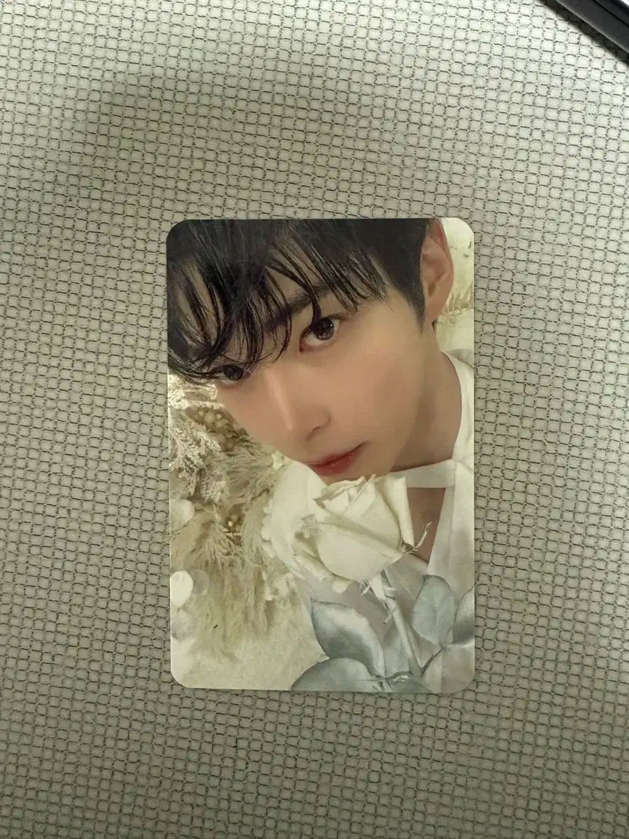 zb1 5集 ショケ ショーケース 入場特典 ハンビン トレカ zb1 ショーケース showcase 入場特典 ハンビン トレカ - メルカリ