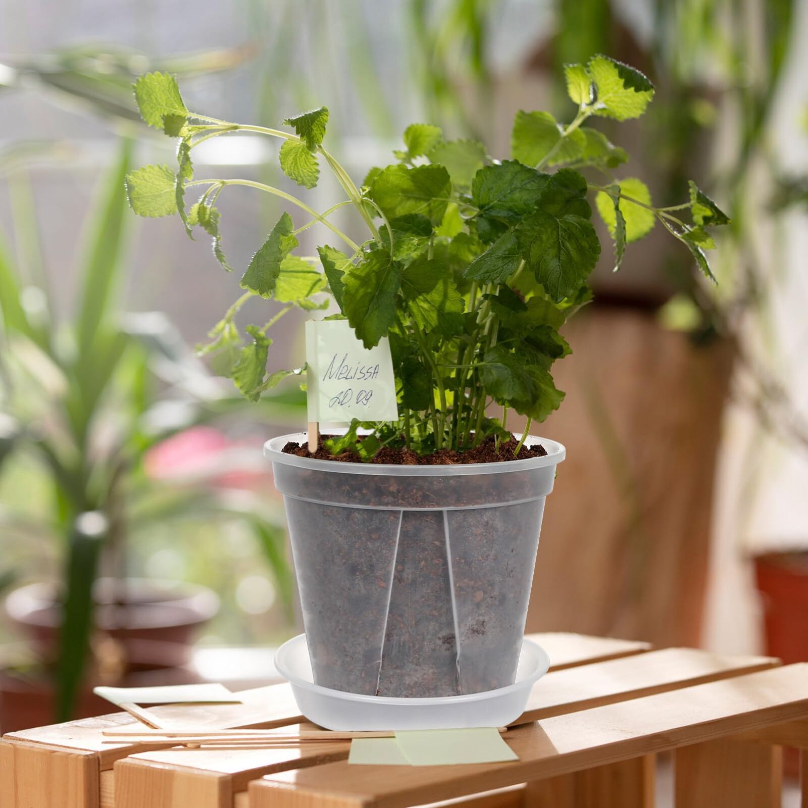 数量限定】BESTOYARD 植木鉢 透明 4個セット 観葉植物 鉢
