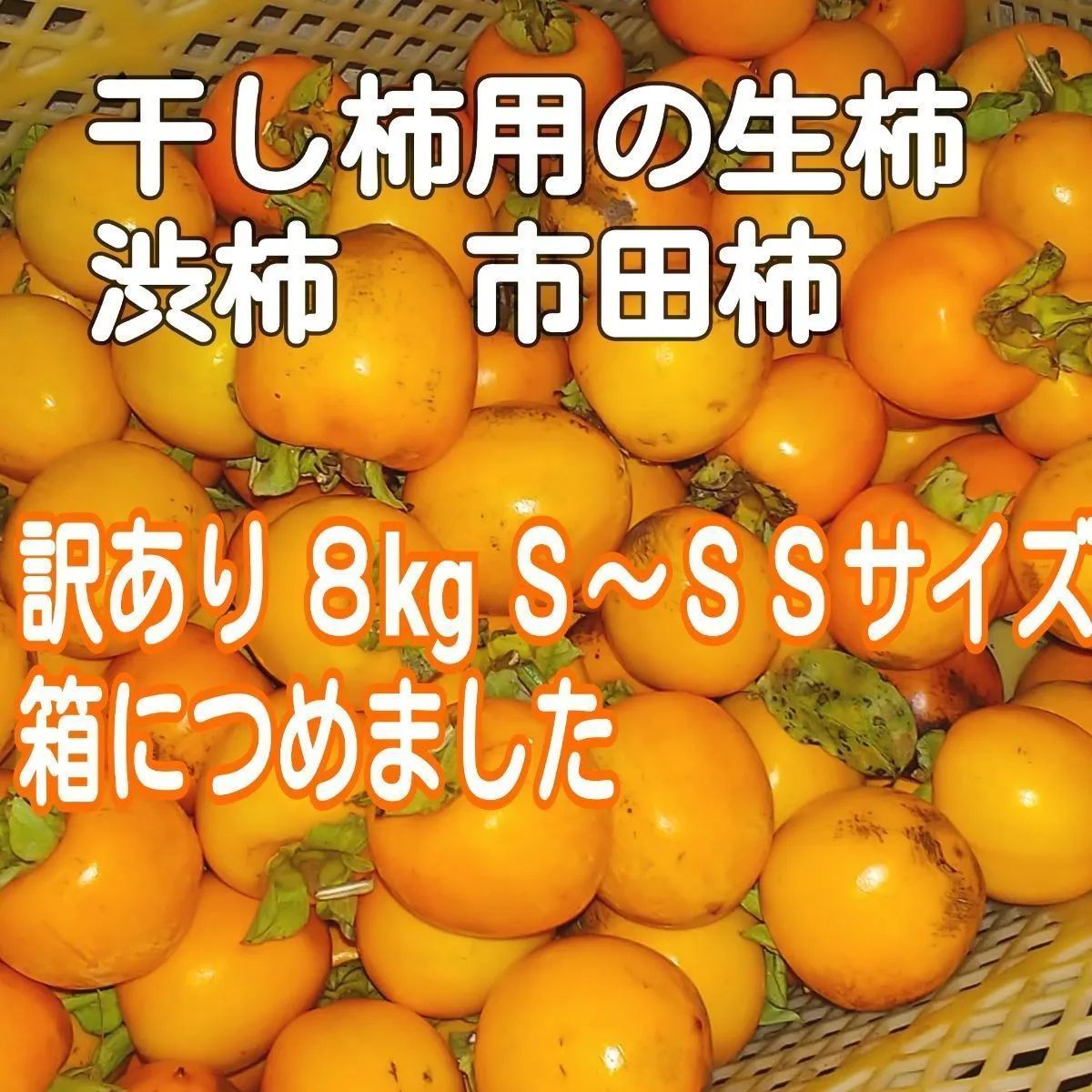 Ｓサイズ８kg 干し柿用の生柿 しぶ柿やや小さい - メルカリ