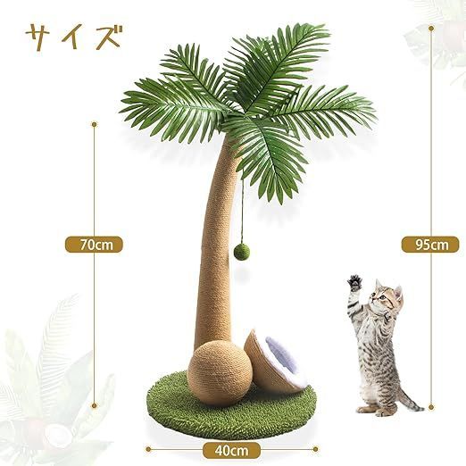 爪研ぎ