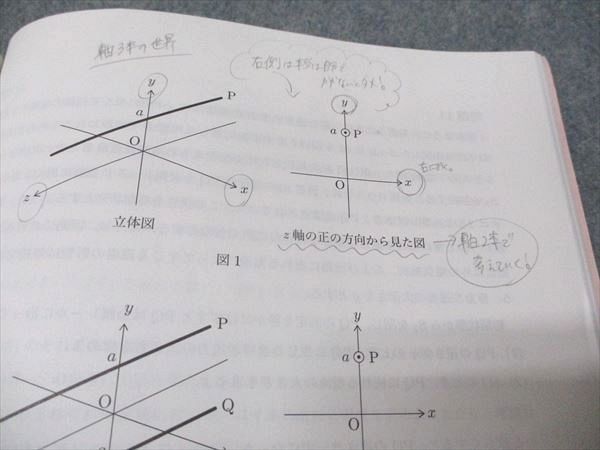 駿台 電磁気特講 2023 夏期 後藤舞子 008s0D - メルカリ