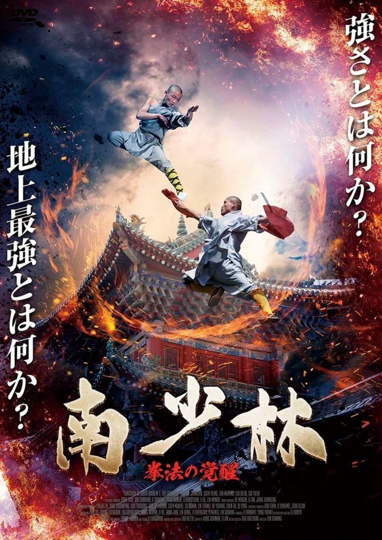 未来への宝物 少林寺拳法 DVD 中古 少林寺拳法 未来への宝物 DVD 中