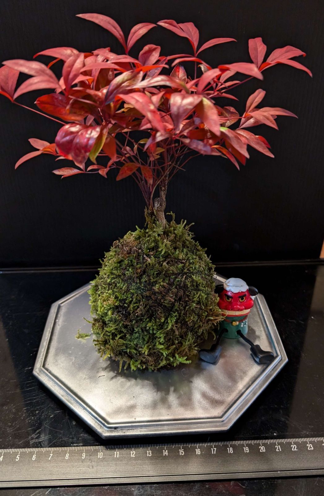 120706お正月作品☆南天☆苔玉☆容器・門松付き - メルカリ